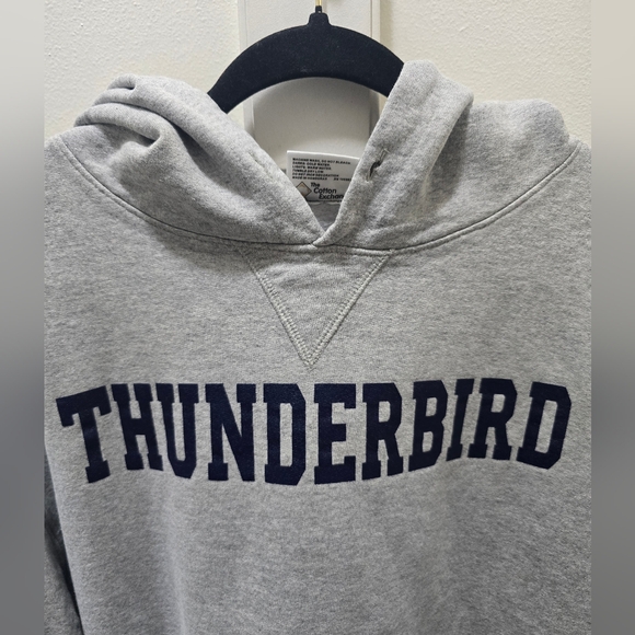 Thunderbird Gray Men's Hoodie - Picture 3 of 11